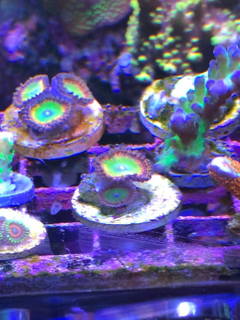 b4bb3e1ac64278e66e90cf889f05102a.jpg