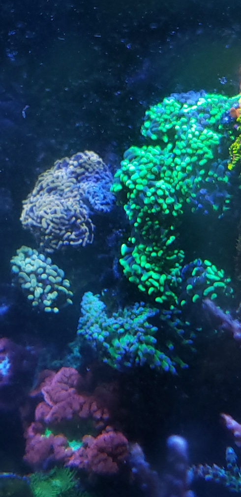 6735277d53d382007e4952724427ce39.jpg