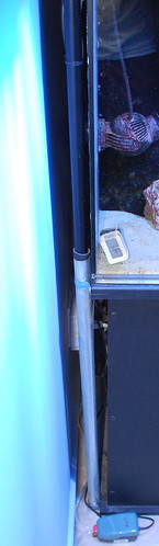 4859184204_17e5d190e1.jpg