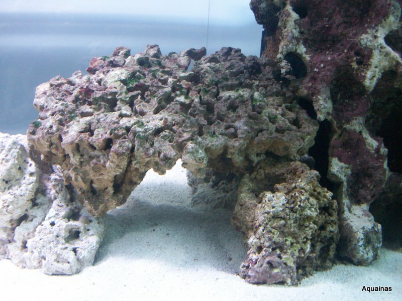 100_6807.jpg