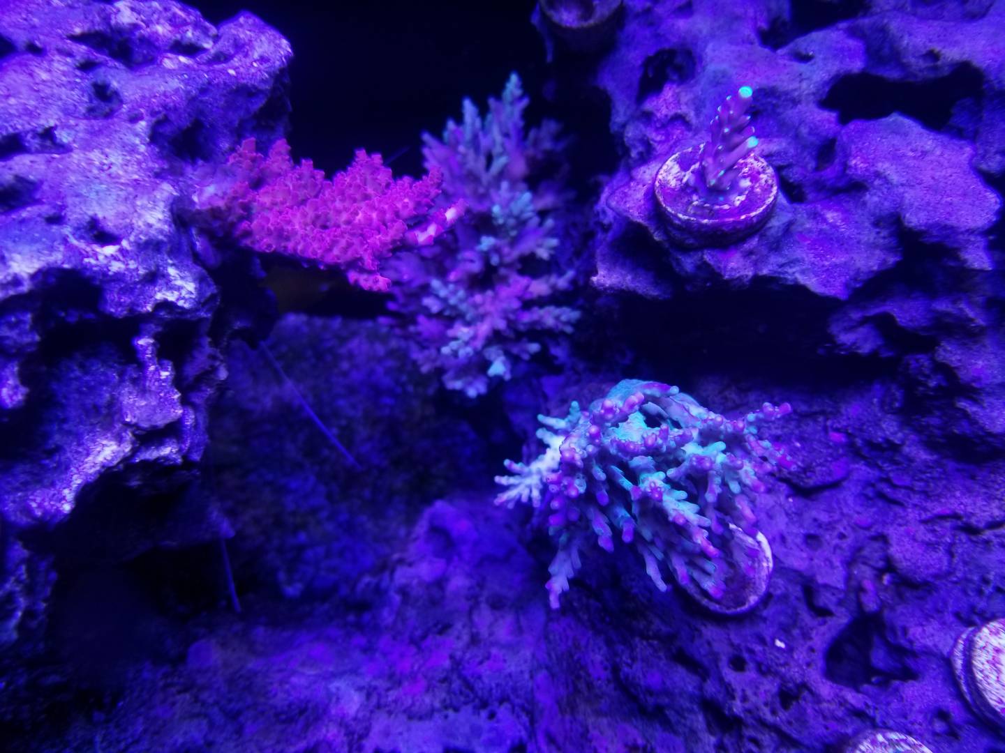 dba0ed337c5378441f238e328960a6f3.jpg