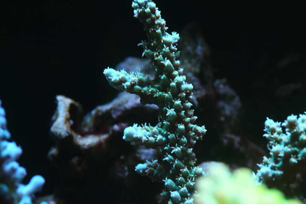 Nov2013M0078.JPG