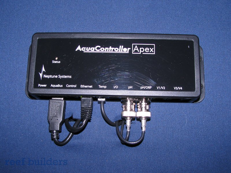 apex-7.jpg