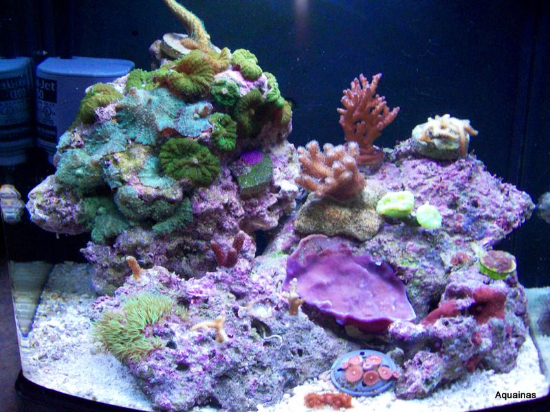 100_6934.jpg
