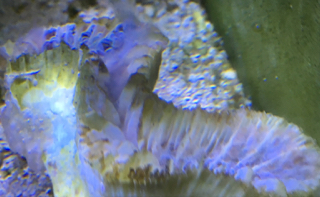 8b38065e7da4beb9a2837169870697c9.jpg