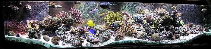 fulltank700_1-13-06.jpg
