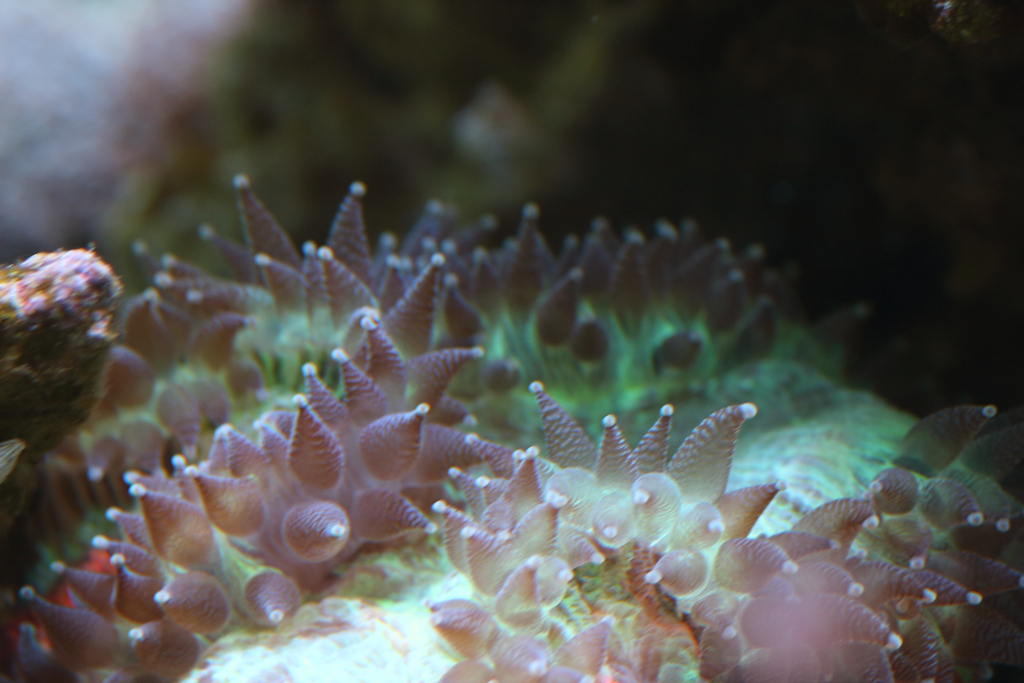 Nov2013M0074.JPG