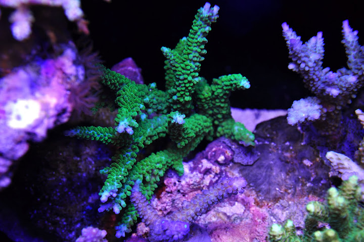 DSC_3340.JPG