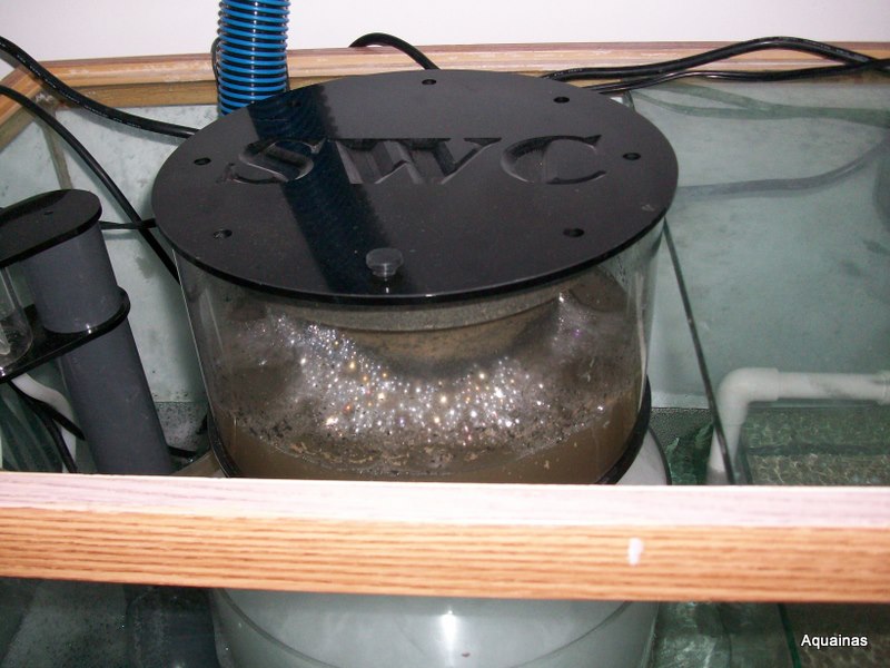 100_6875.jpg