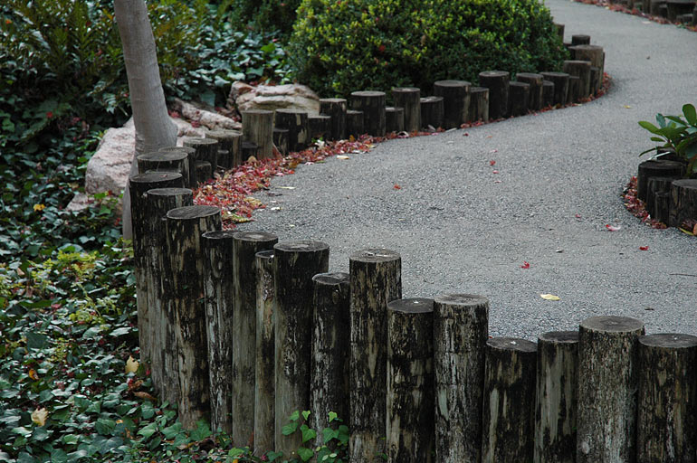 path.jpg