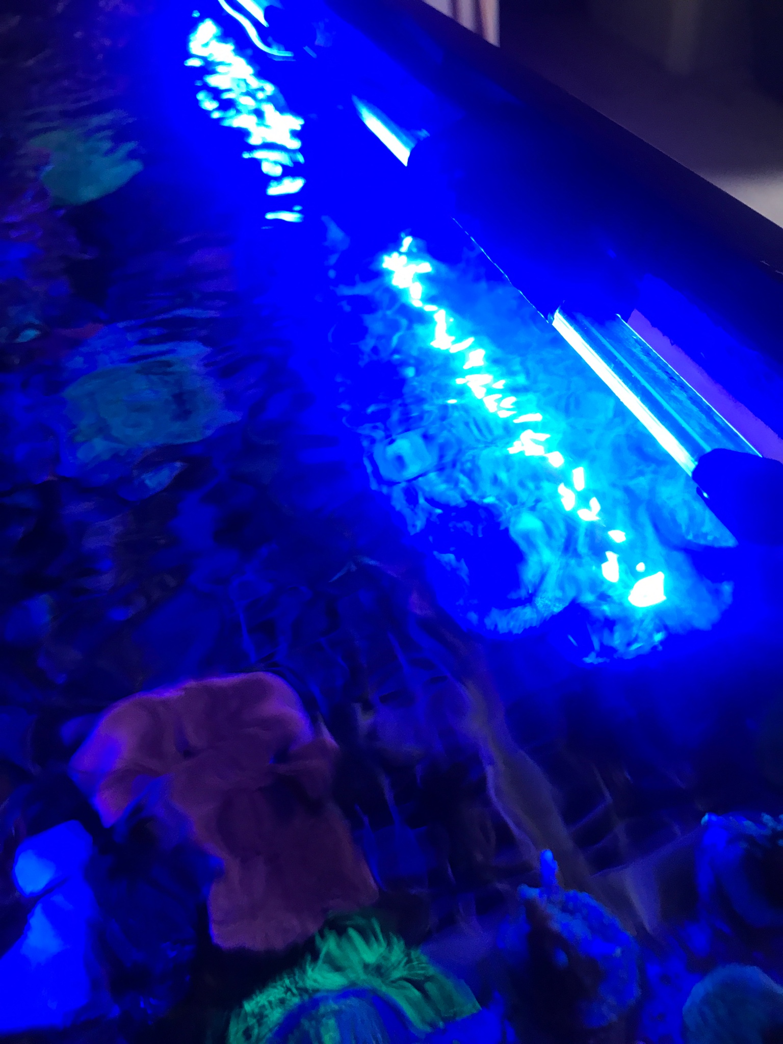 1a8fc6eaed4d8355ebc7a902c6382b54.jpg