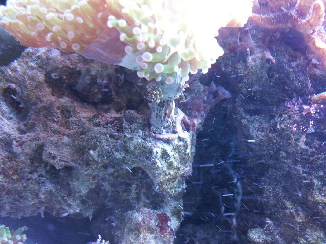 20120907_174506.jpg