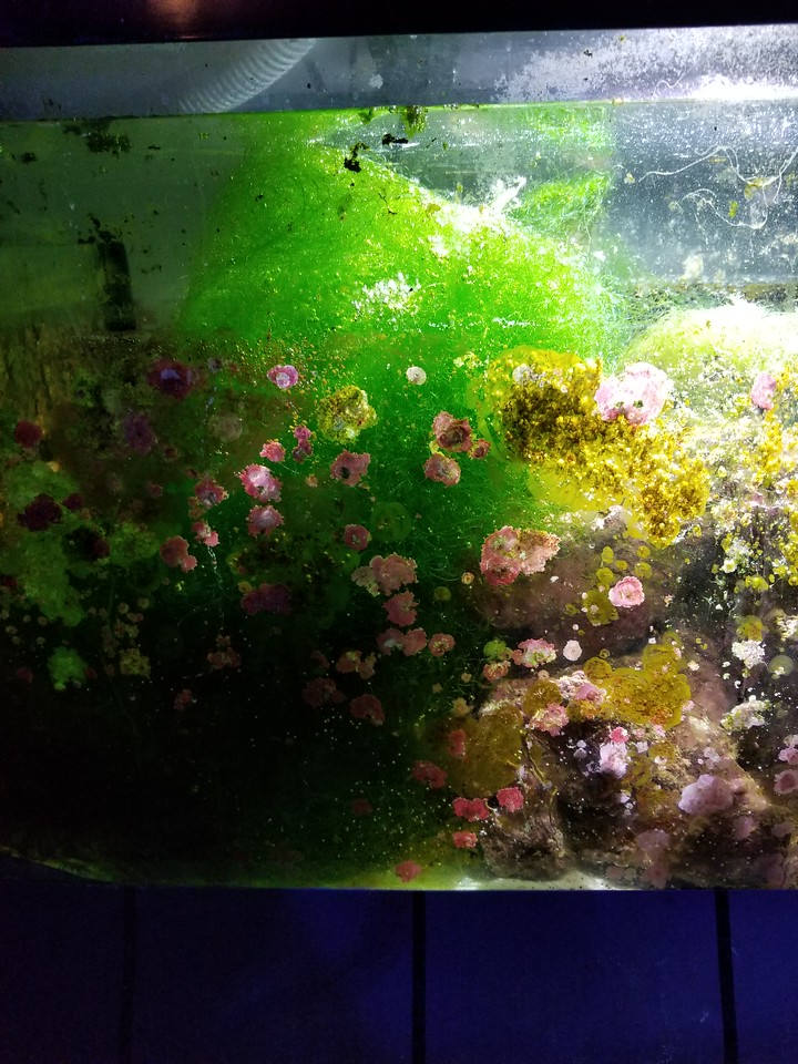 20170427_215348-X2.jpg