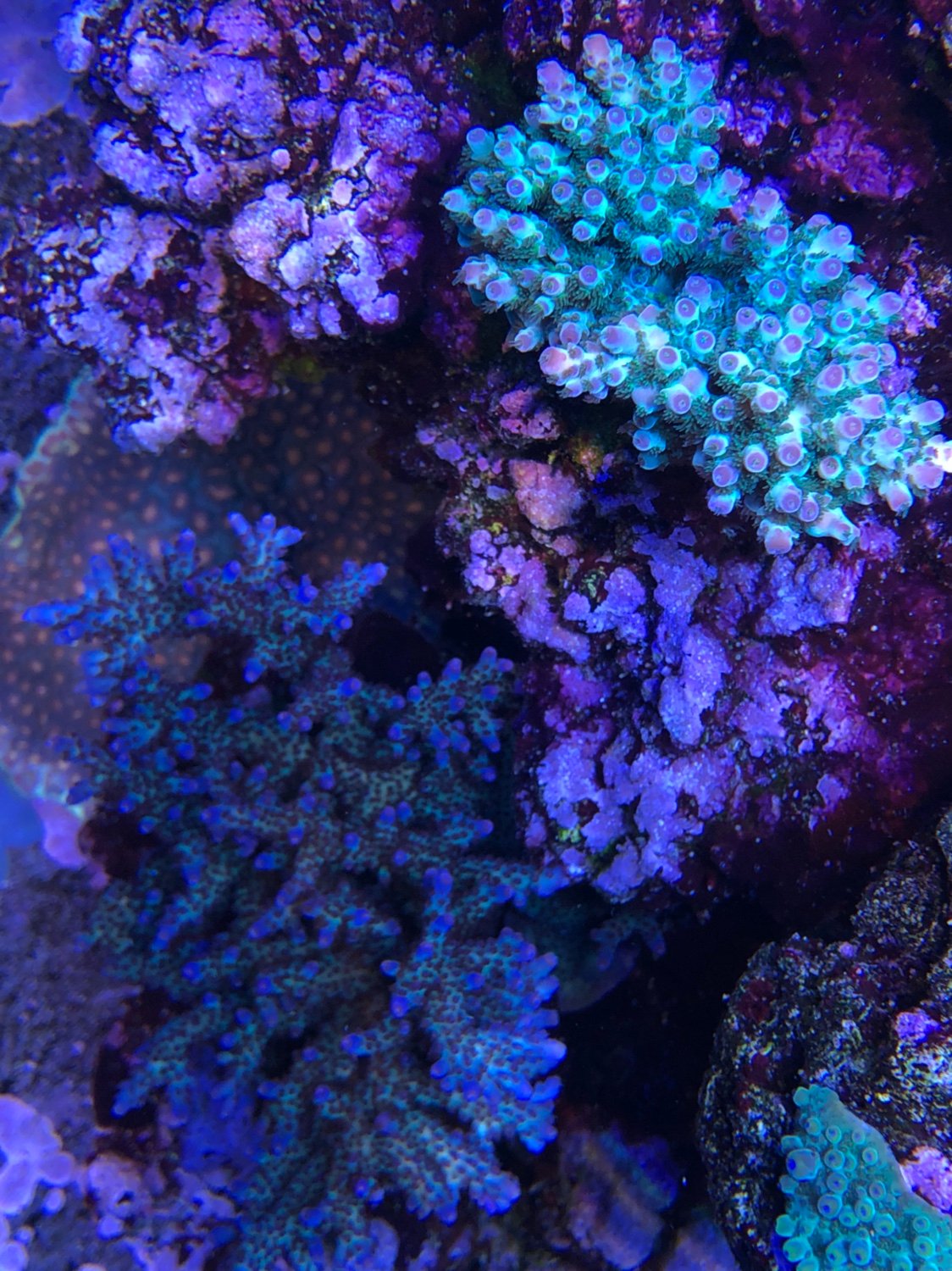 c9f29501f9ef58827cd8fd591f68d6fe.jpg