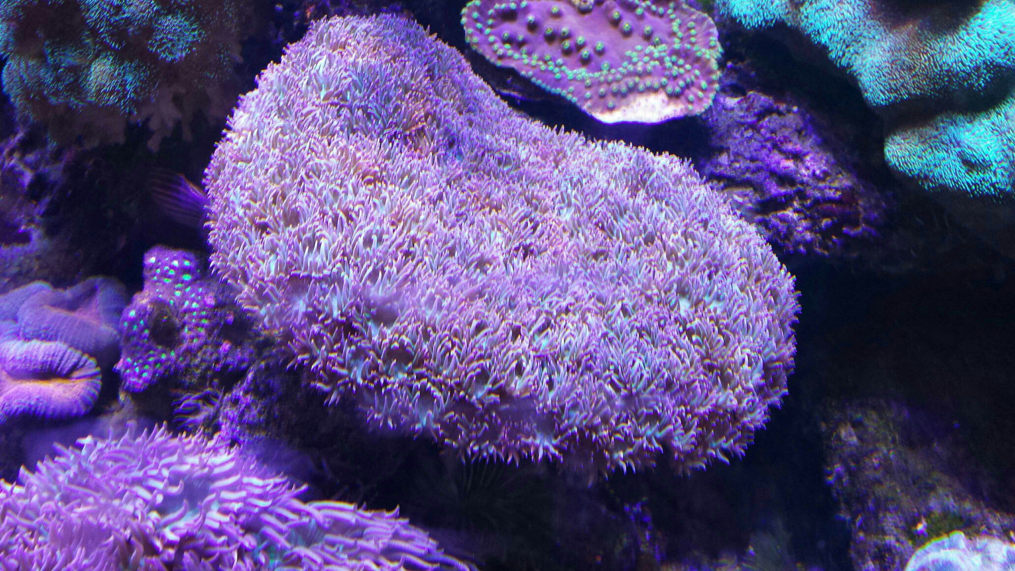 bcbb967d3814001e48c1242a1e44e317.jpg