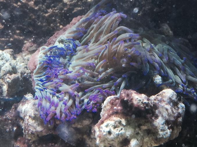 B4w-m1wIcAADgV9.jpg:large