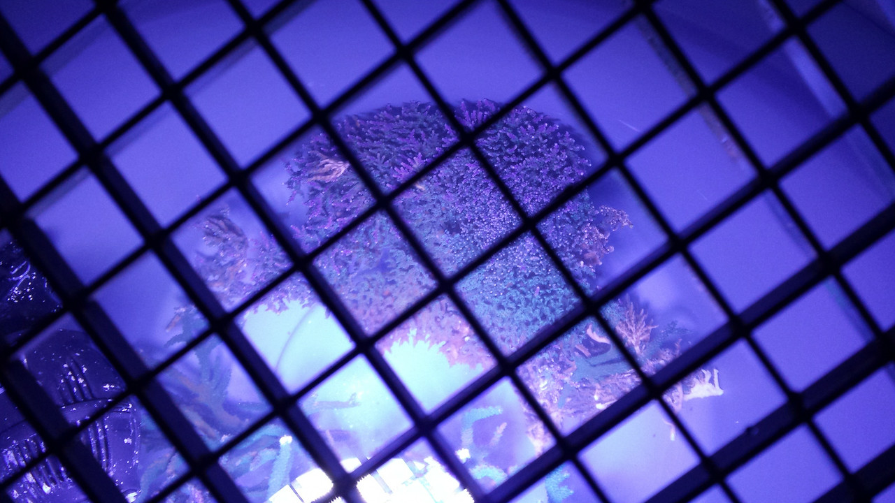 20140616_205843-X2.jpg
