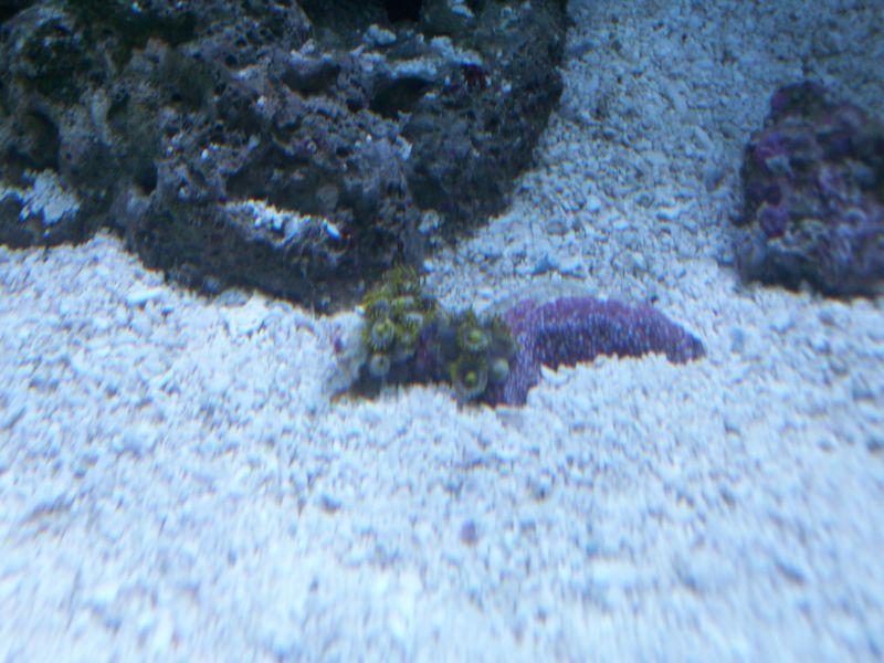 100_8589.jpg