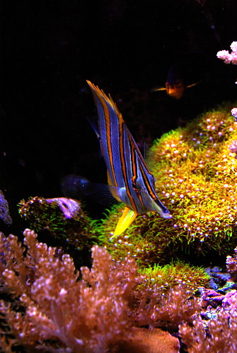 2977297528_1552d58530.jpg