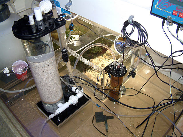 ca_reactor_in_sump.jpg