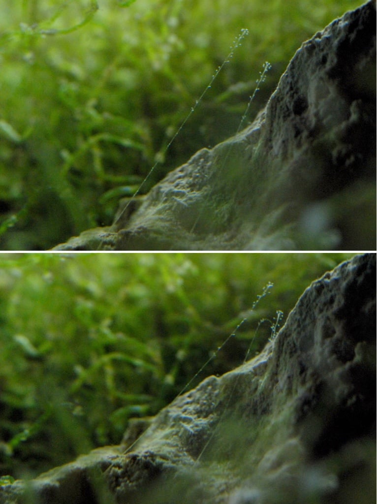 5d8effa632632a85365aff174b79c4d5.jpg