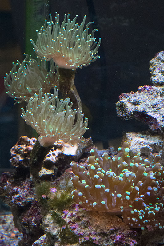 50g_20130904_4.jpg