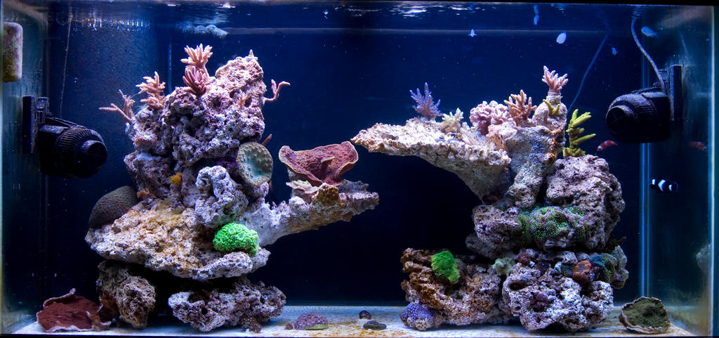 New_FTS_2008_by_Logzor.jpg