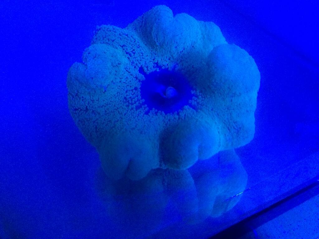 BpP-3E9CUAEoeqh.jpg:large