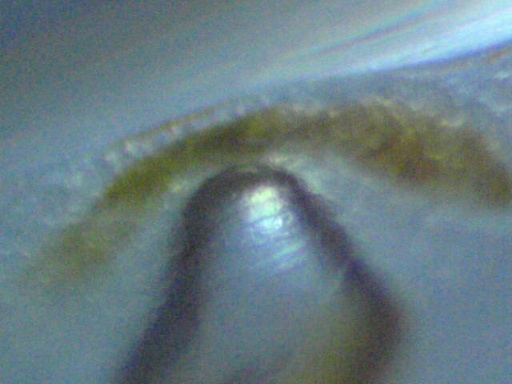 GBG_458_5.jpg