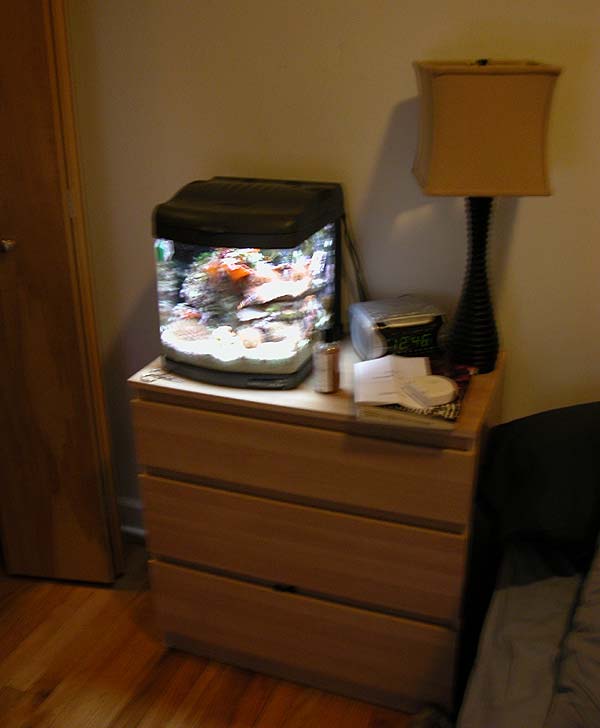 DSCN8052_tank4.jpg