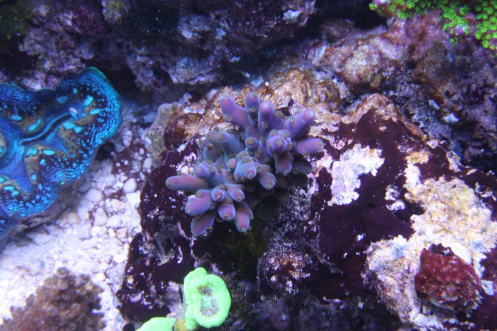 IMG_6498.JPG