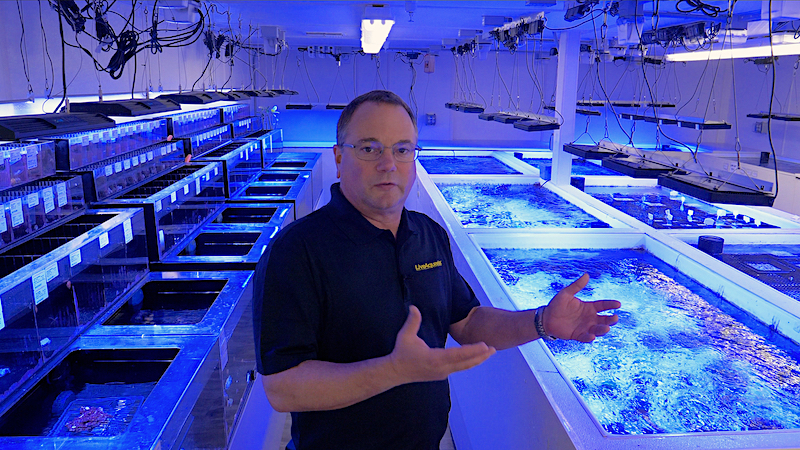 reefbuilders.com