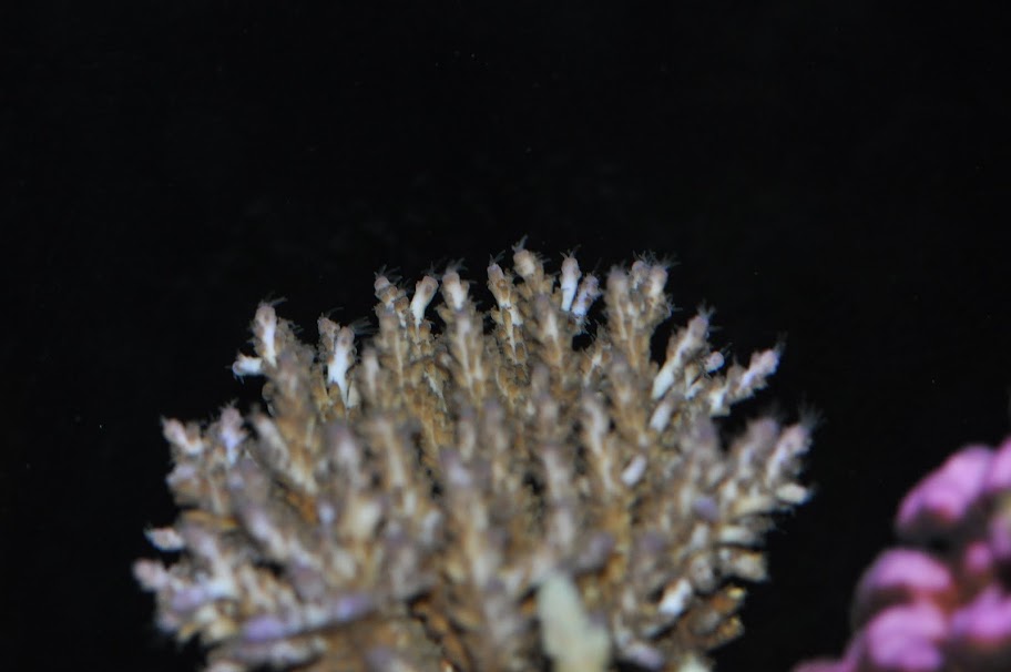 DSC_3263.JPG