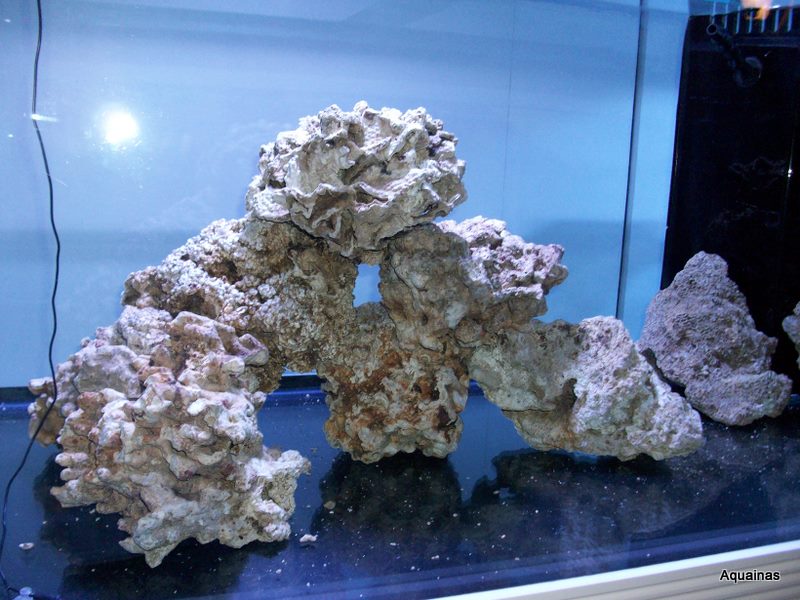 100_6716.jpg