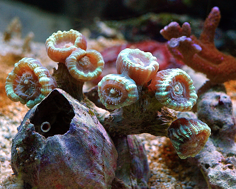 P9061558.jpg