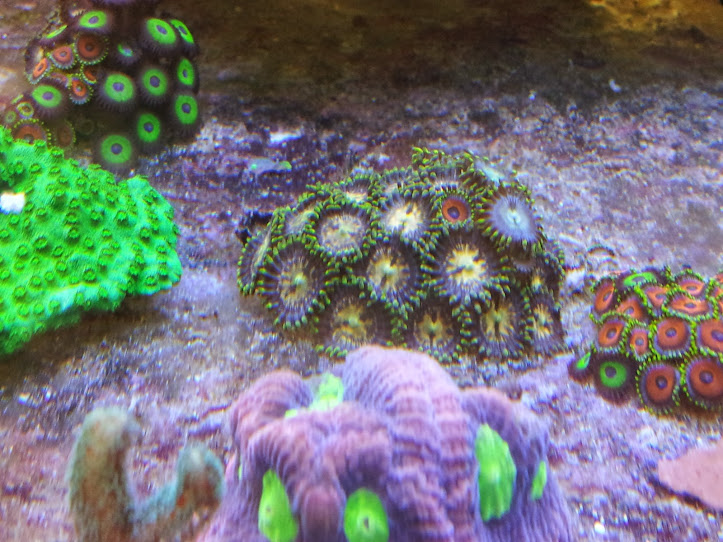 l-rVIGXIT1KjsYb8qxOJHl5v21w6MPFw4oahbfjeHvA=w723-h543-no