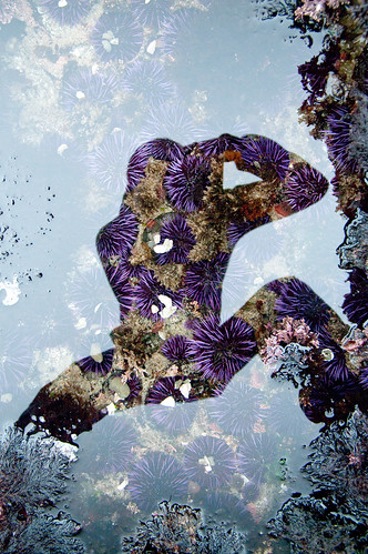 5597874306_9673716fdc.jpg