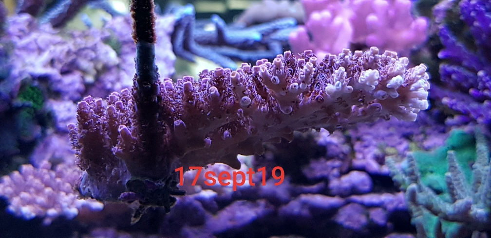 3b1a1f2aff0d767b3b918cf91f16387f.jpg