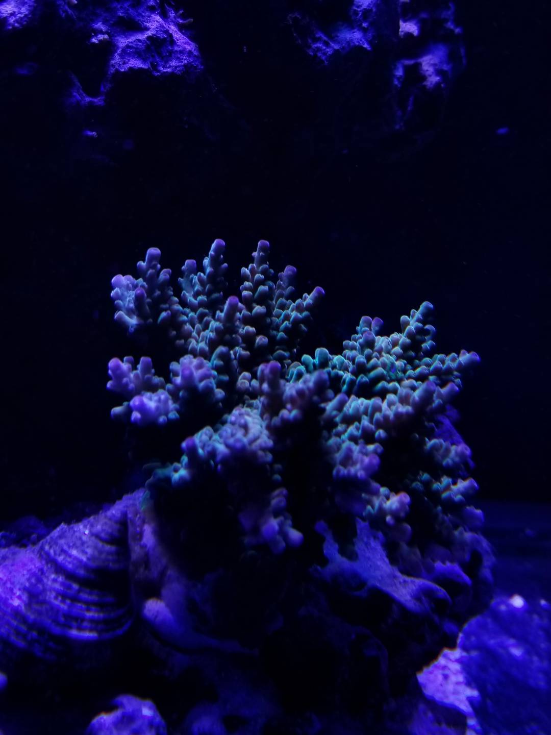 b6c73c4827ba0a67f3b2e5773790d60f.jpg