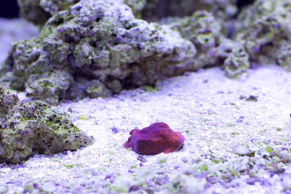 8f6b67de84eab01de528ca79165fc37c.cr2