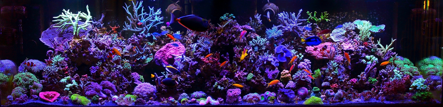 fts10820124sm.jpg