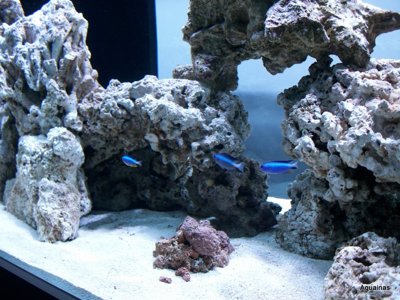 100_6891.jpg