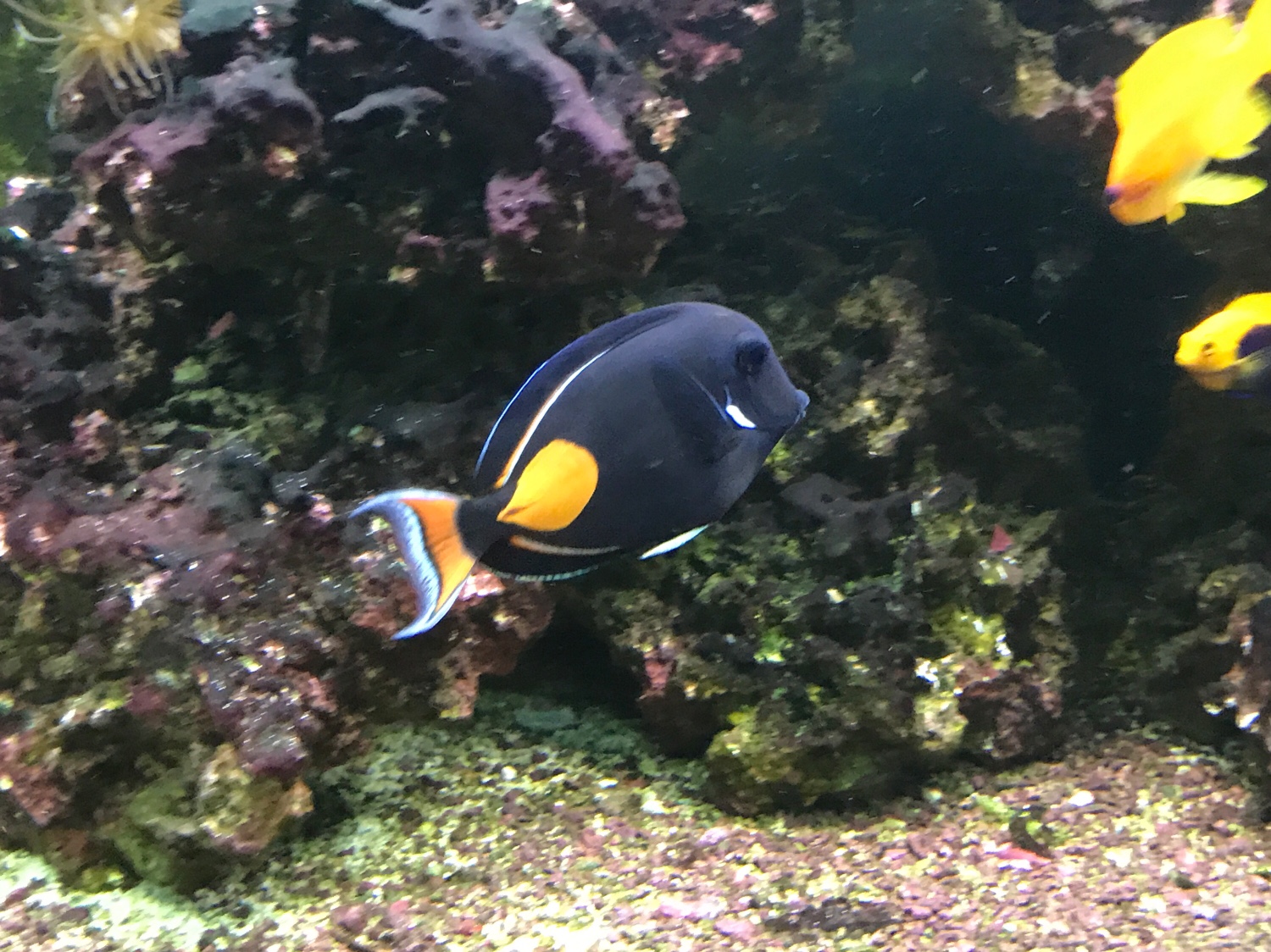 e67db2be30c4e5215d2483a09f1d2148.jpg