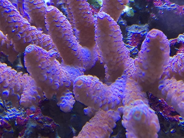 3fd1efe641a0fd55fd79a67b60d806a3.jpg