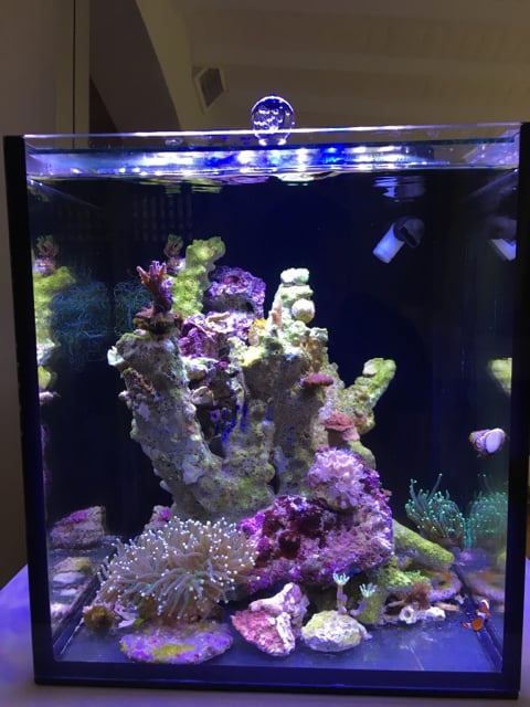 9261f955cc2337724f157e5c854a47dc.jpg
