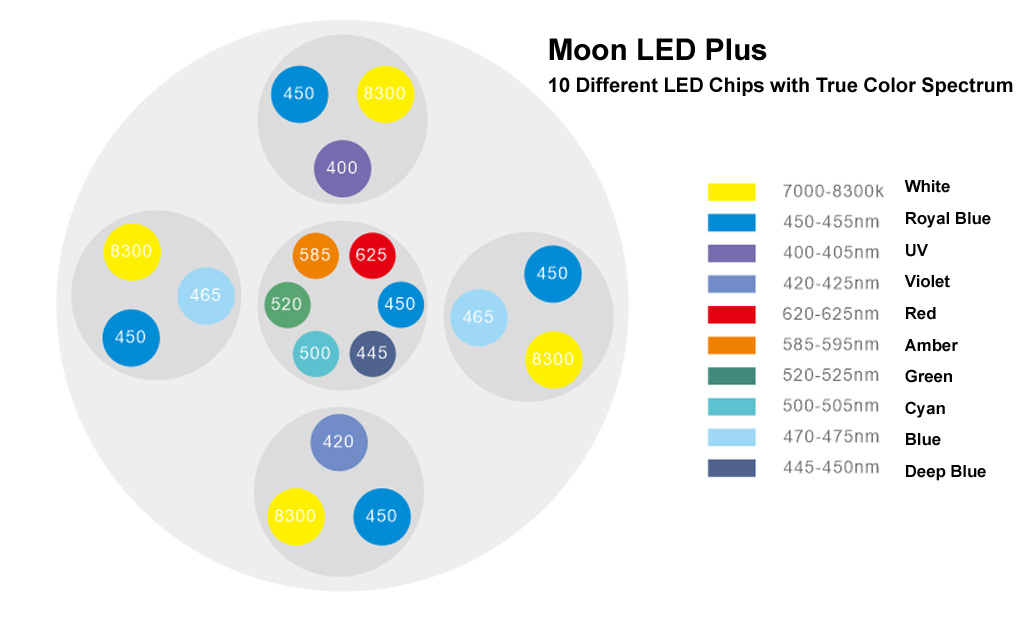 MOON%20LED_ratio.jpg