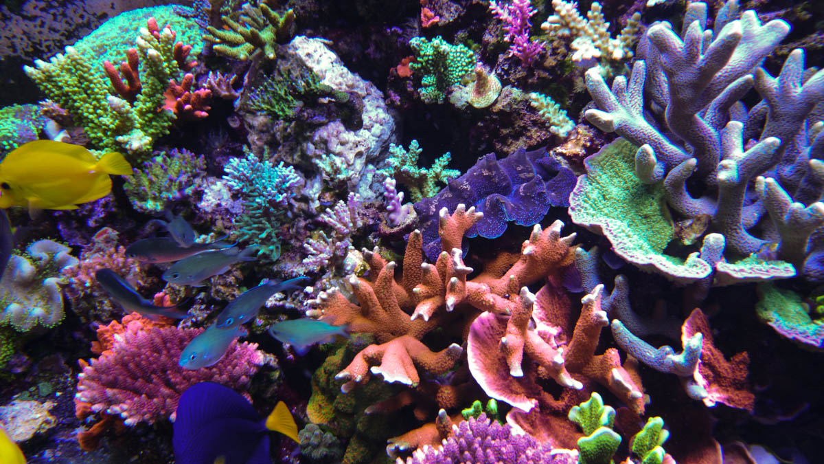 DSC_0030.jpg