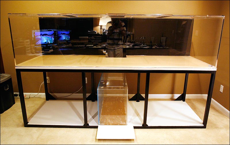 Fish-Tank-03.jpg