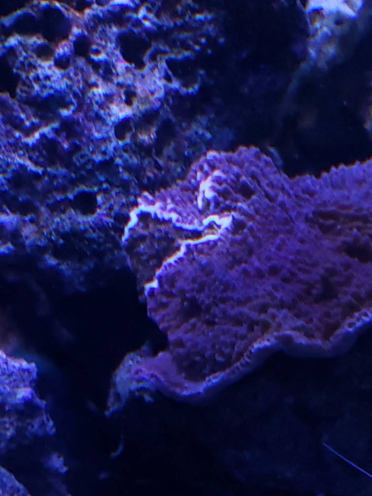 36f5877e2dd3956a7760fd7a054e3b98.jpg