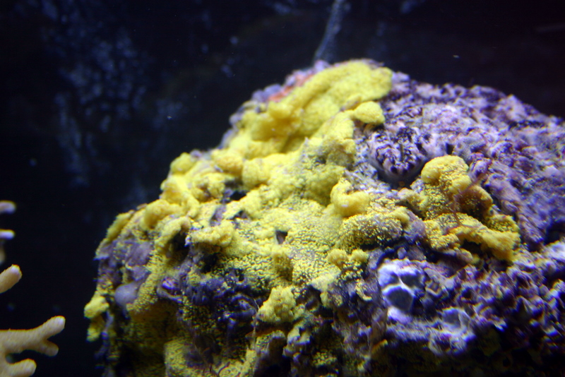 img_8037.jpg
